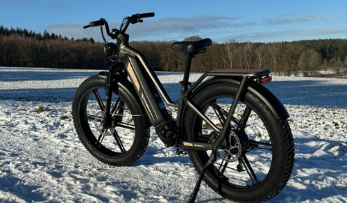 A Fiido Titan electric bike is temporarily parked in the snow