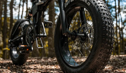 Fiido off road fat tire e-bike.