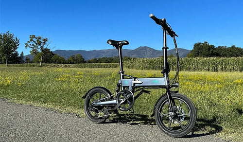 Fiido D2S electric bicycles are placed on the roadside