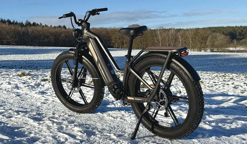 Fiido Titan electric bike parked on the snow