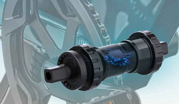 The picture shows a torque sensor.