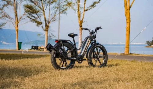 A Fiido Titan electric bicycle is temporarily parked by the lake.