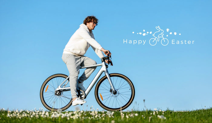 A man rides a Fiido Air electric bike across the lawn