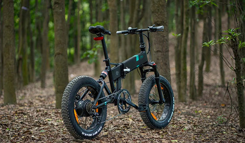 Fiido M1pro electric bike parked in the woods