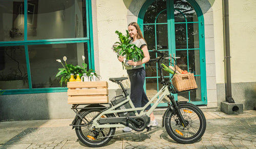 Comprehensive Matching Guide: Electric Cargo Bikes and Their Use Cases