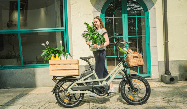 Comprehensive Matching Guide: Electric Cargo Bikes and Their Use Cases