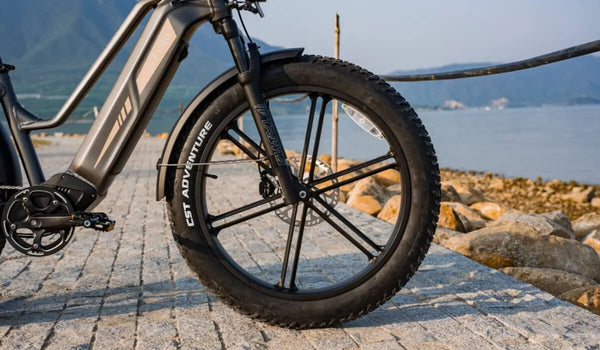 The image shows Fiido Titan tires.