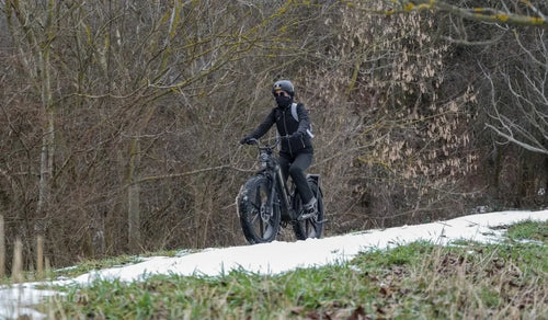 A woman rides a Fiido Titan electric bike through the snow.