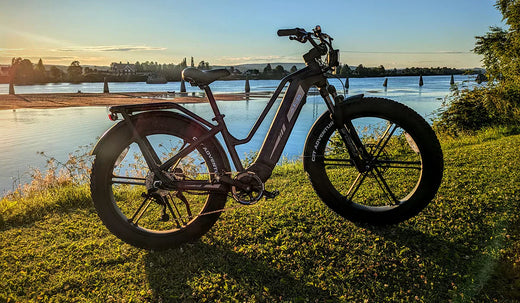 Fiido Titan electric bike parked by the lake