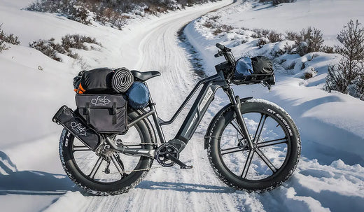 Fiido Titan electric bike parked on the snow
