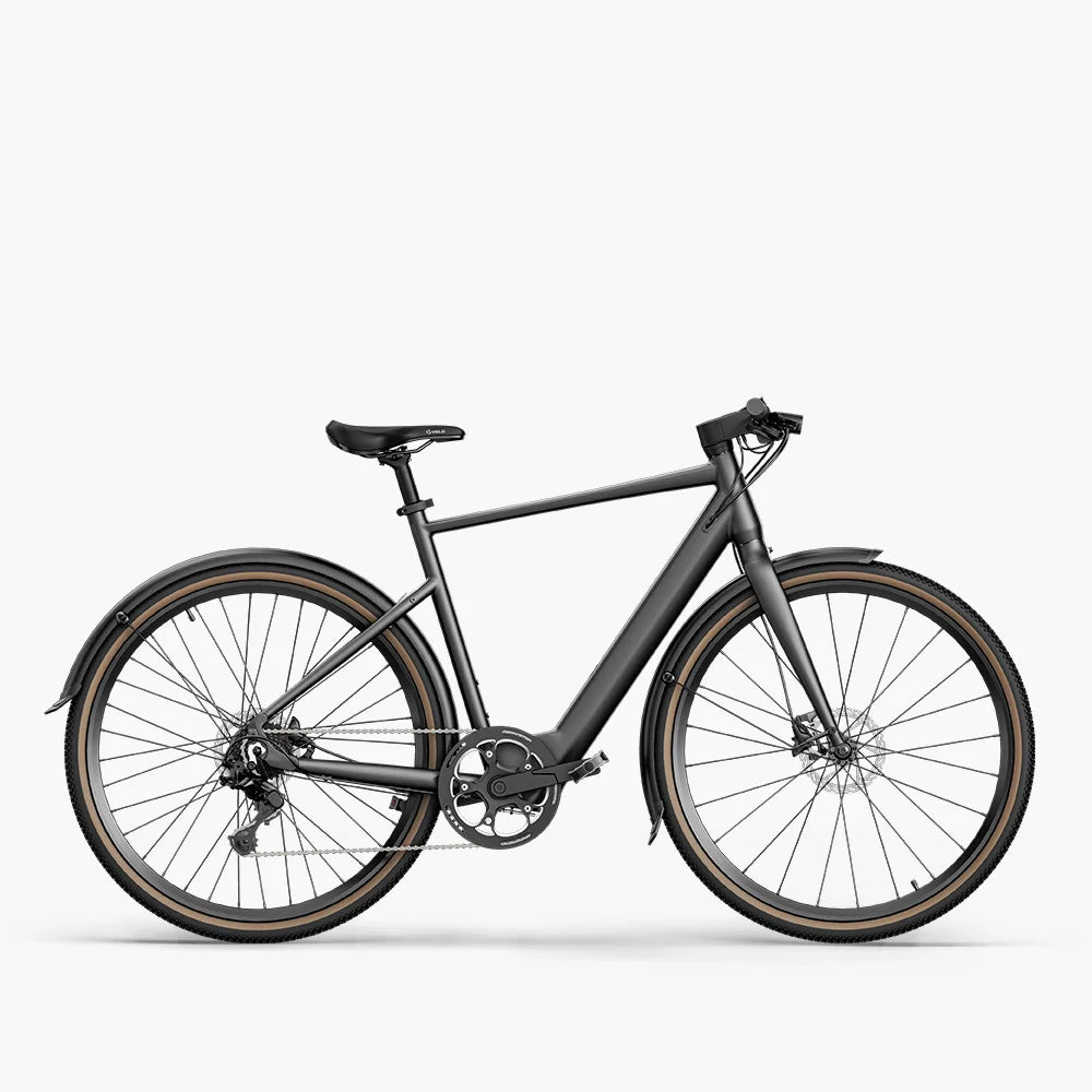 Fiido C21 E-gravel & city E-bike