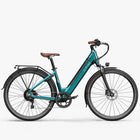 Fiido C11 Pro City E-Bike