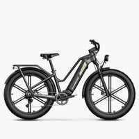Titan Fat Tire Touring Ebike - Long range