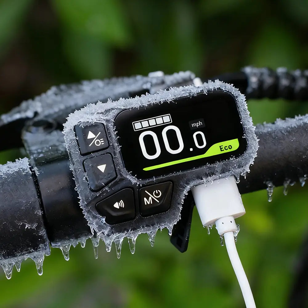 Fiido D3 Pro Mini Electric Bike