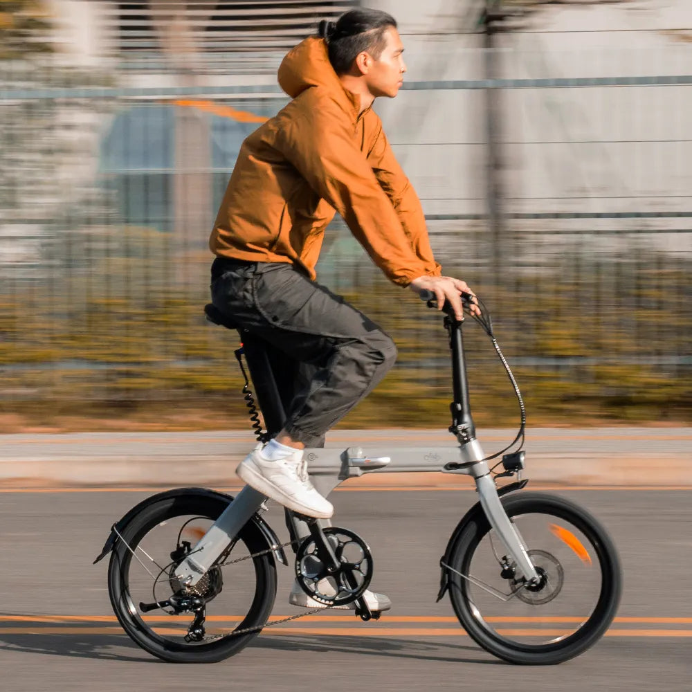Fiido D11 Folding E-bike
