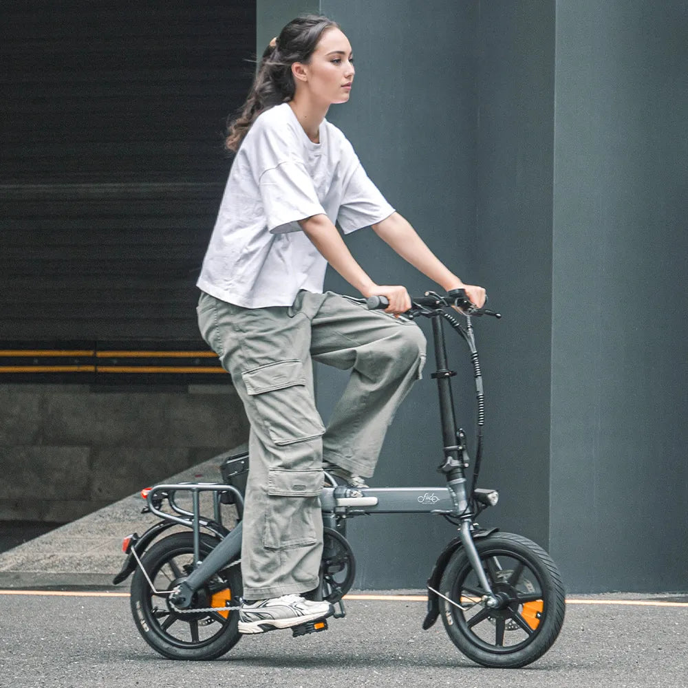 Fiido L3 Long Range Electric Bike