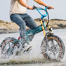 Fiido M1 Pro Fat Tire Electric Bike