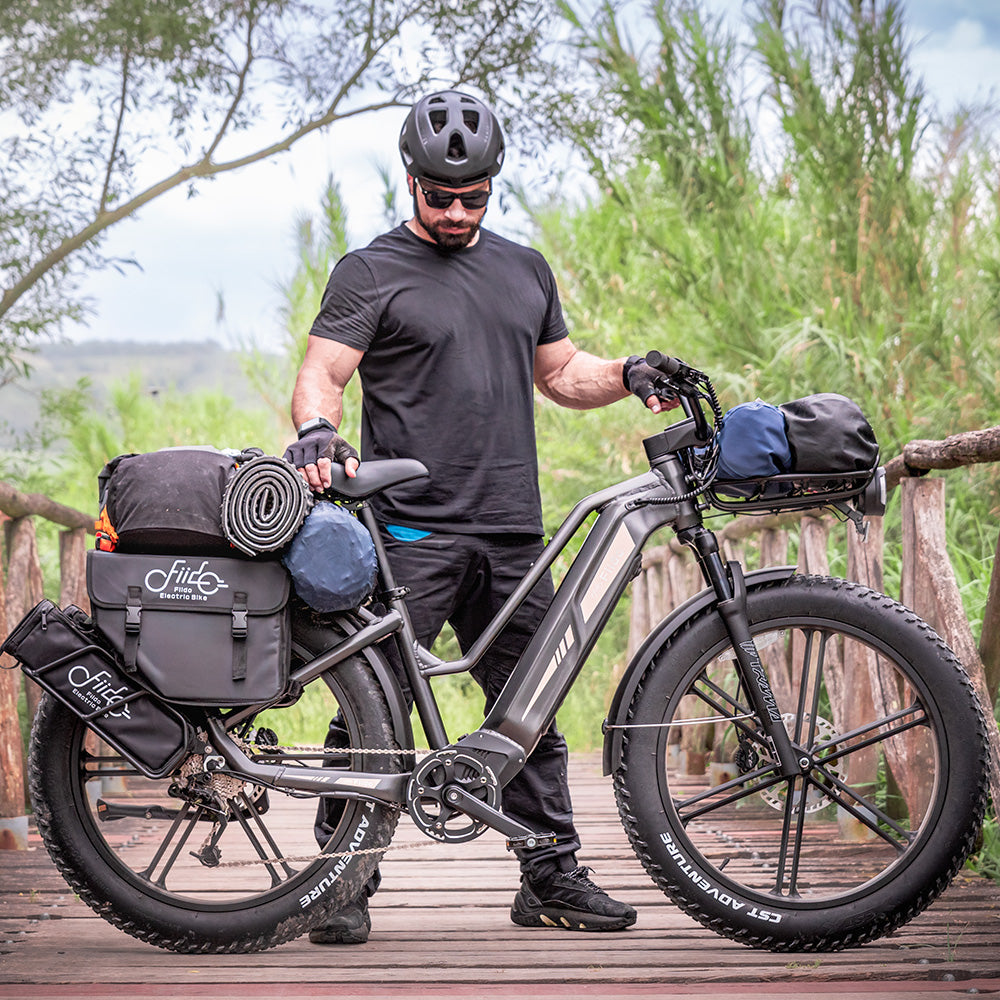 Fiido Titan Off-Road Cargo EBike with Fat Tire