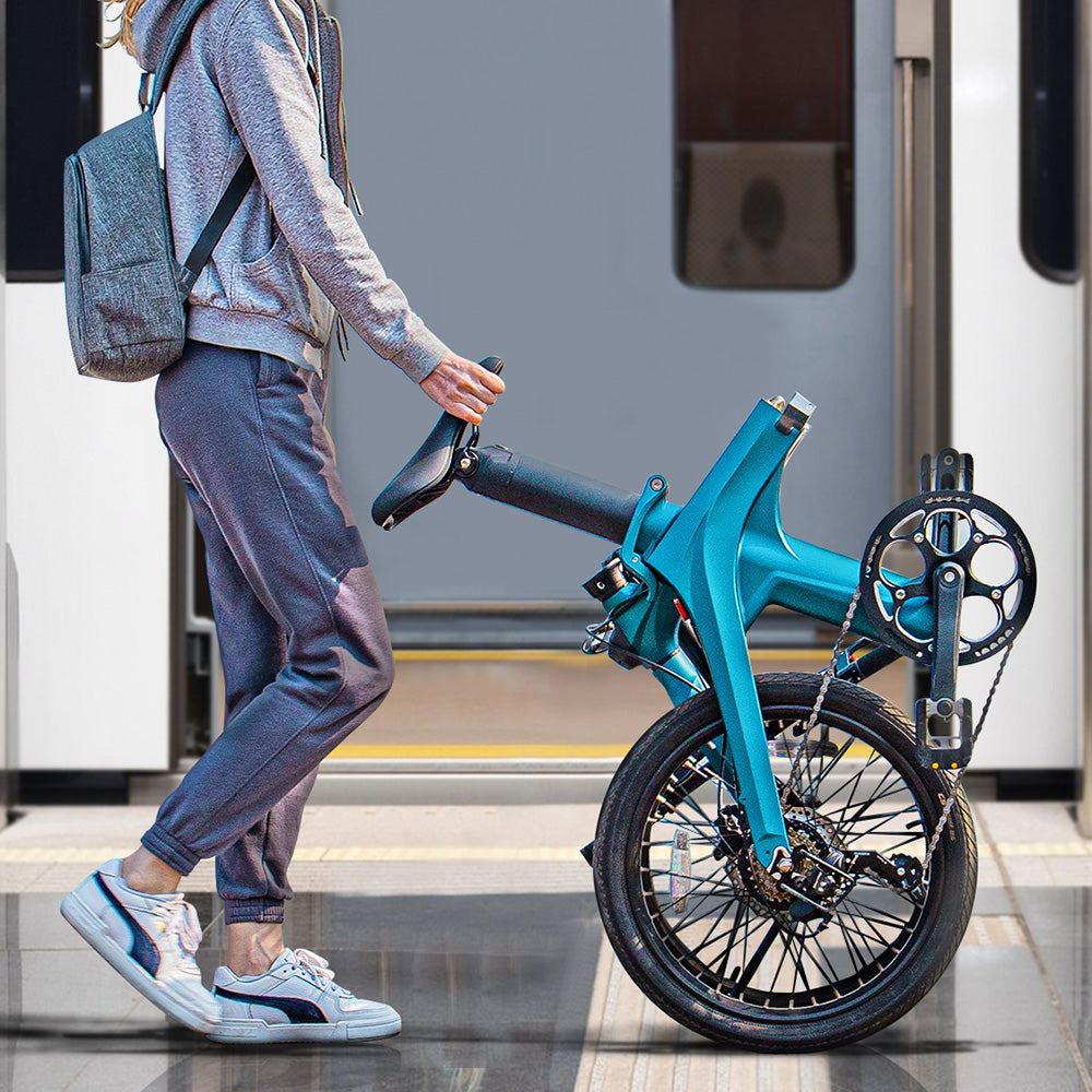 Fiido X Folding Electric Bike With Torque Sensor