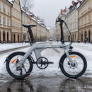 Fiido D11 Folding E-bike