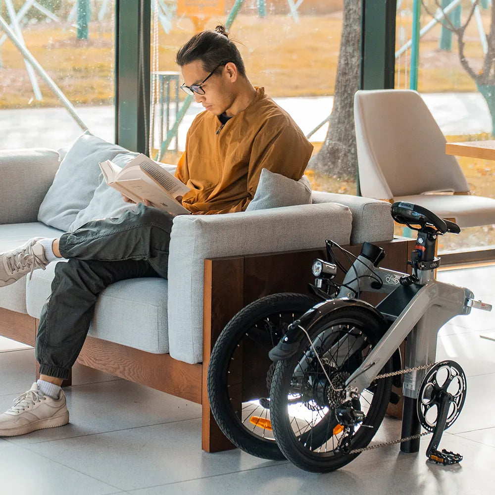 Fiido D11 Folding E-bike