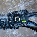 Fiido D11 Folding E-bike