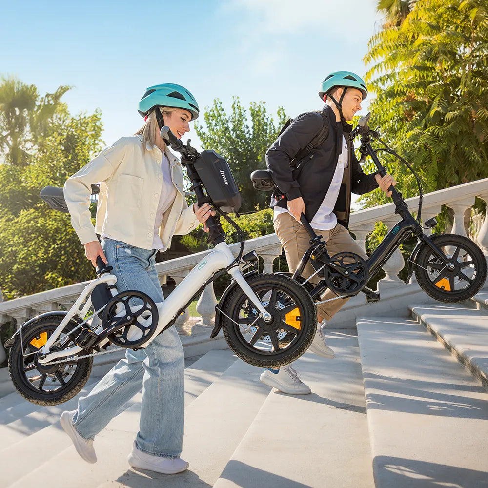Fiido D3 Pro Affordable Mini Ebike for City Casual
