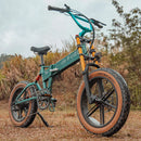 Fiido M1 Pro Fat Tire Electric Bike