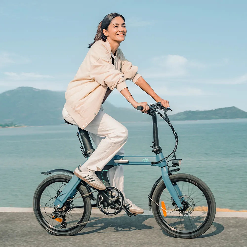 Fiido D11 Folding E-bike