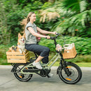 Fiido T3 Urban Family Cargo E-Bike