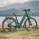 Fiido C11 Pro City E-Bike