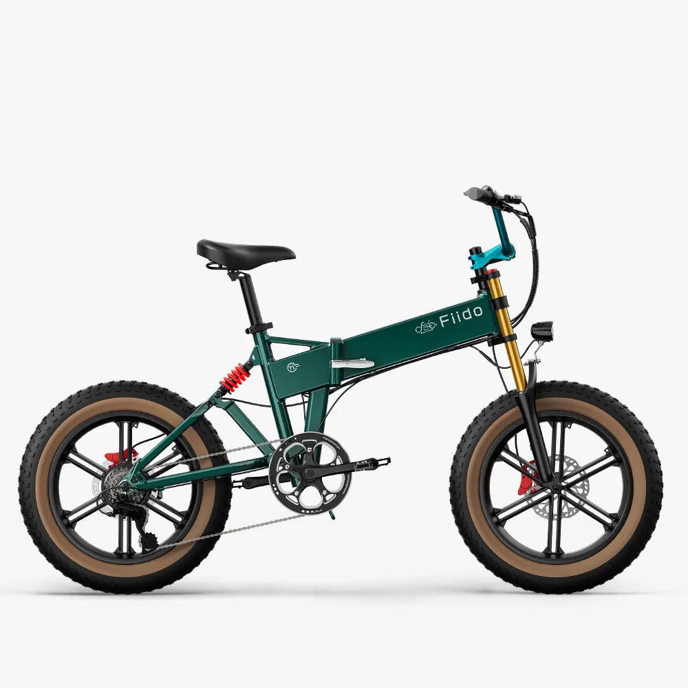 Fiido M1 Pro Fat Tire Electric Bike