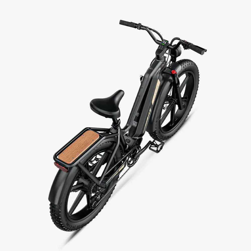 Titan Fat Tire Touring Ebike - Long range