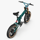 Fiido M1 Pro Fat Tire Electric Bike