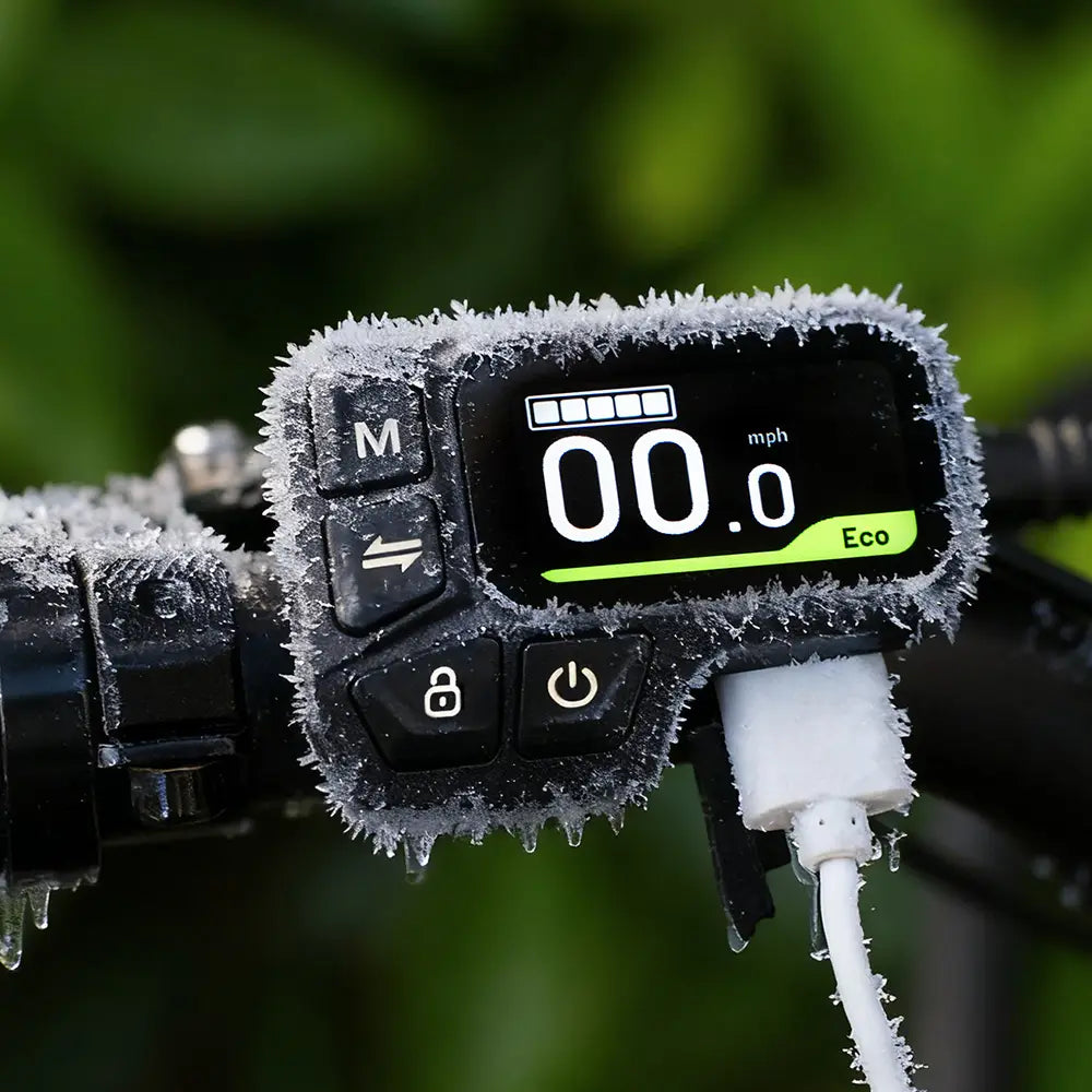 Fiido X Folding Electric Bike With Torque Sensor