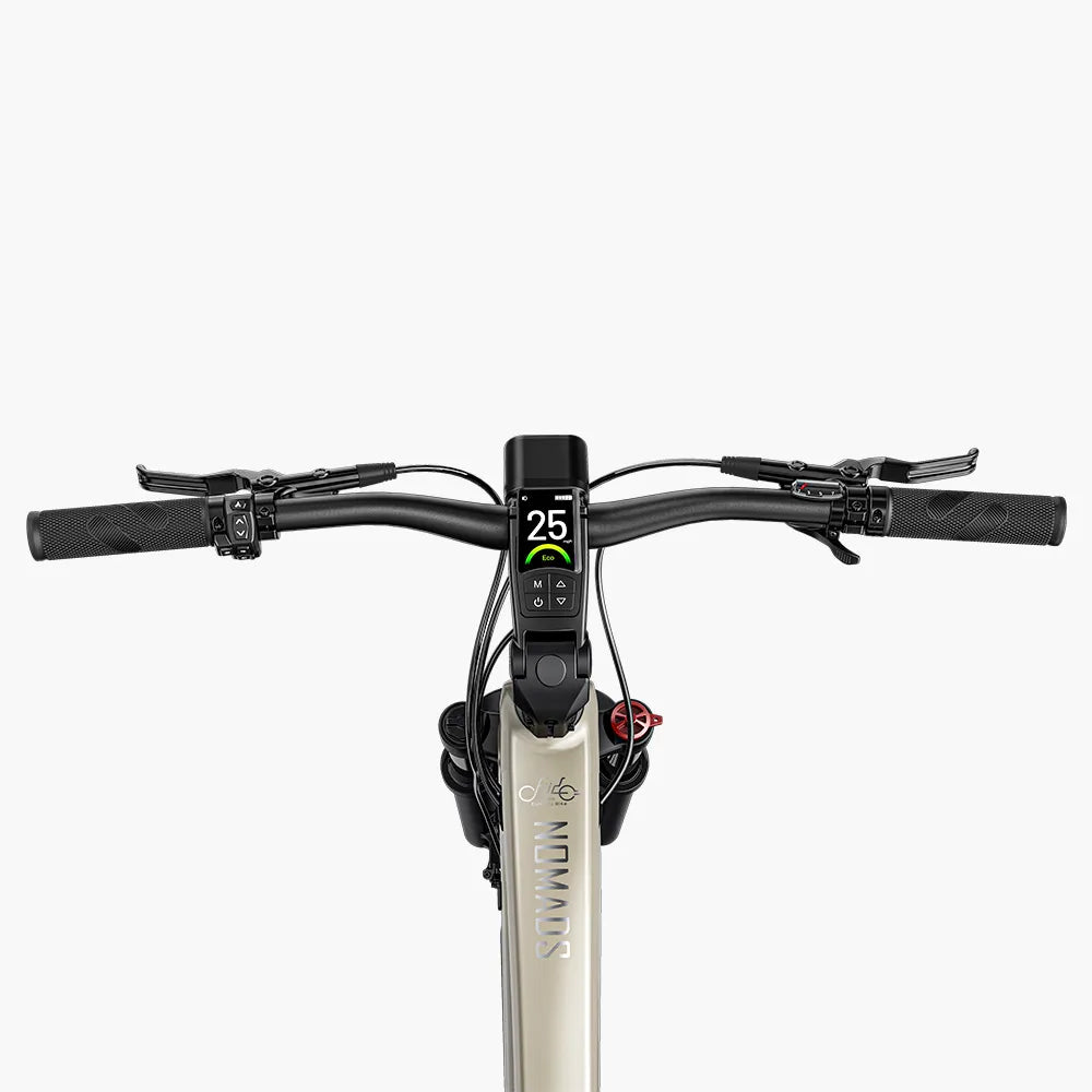 Fiido Nomads Touring E-bike