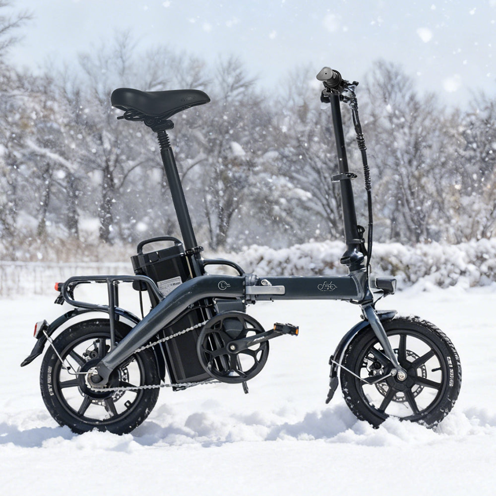 Fiido L3 Long Range Electric Bike