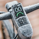 Fiido C21 E-Gravel & City E-Bike