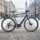 Fiido C21 E-Gravel & City E-Bike