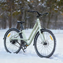 Fiido C700 City E-Bike