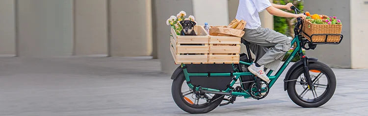 Woman riding a Fiido T2 cargo electric bike out shopping