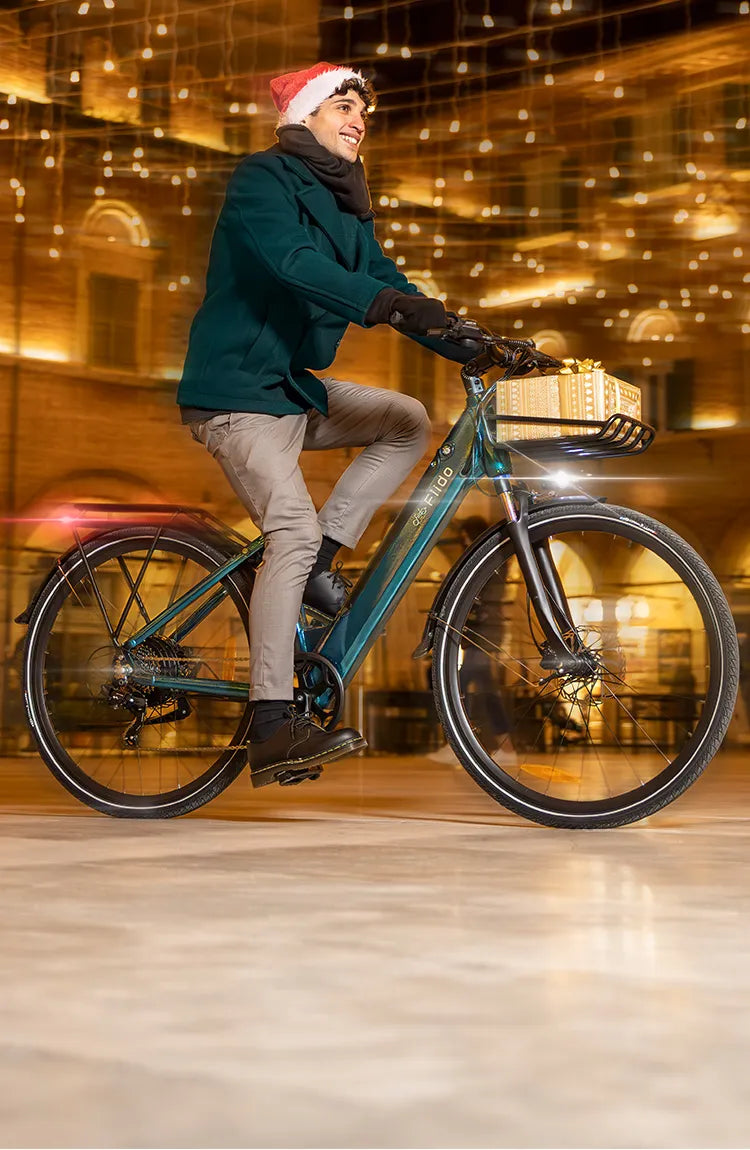 Best Electric Bike Brand Online Shop Fiido Company