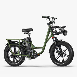 Fiido T1 Pro: Powerful Electric Cargo Bike with Fat Tires
