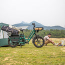 Fiido T2 Long Tail Cargo Electric Bike Parked on the Grass