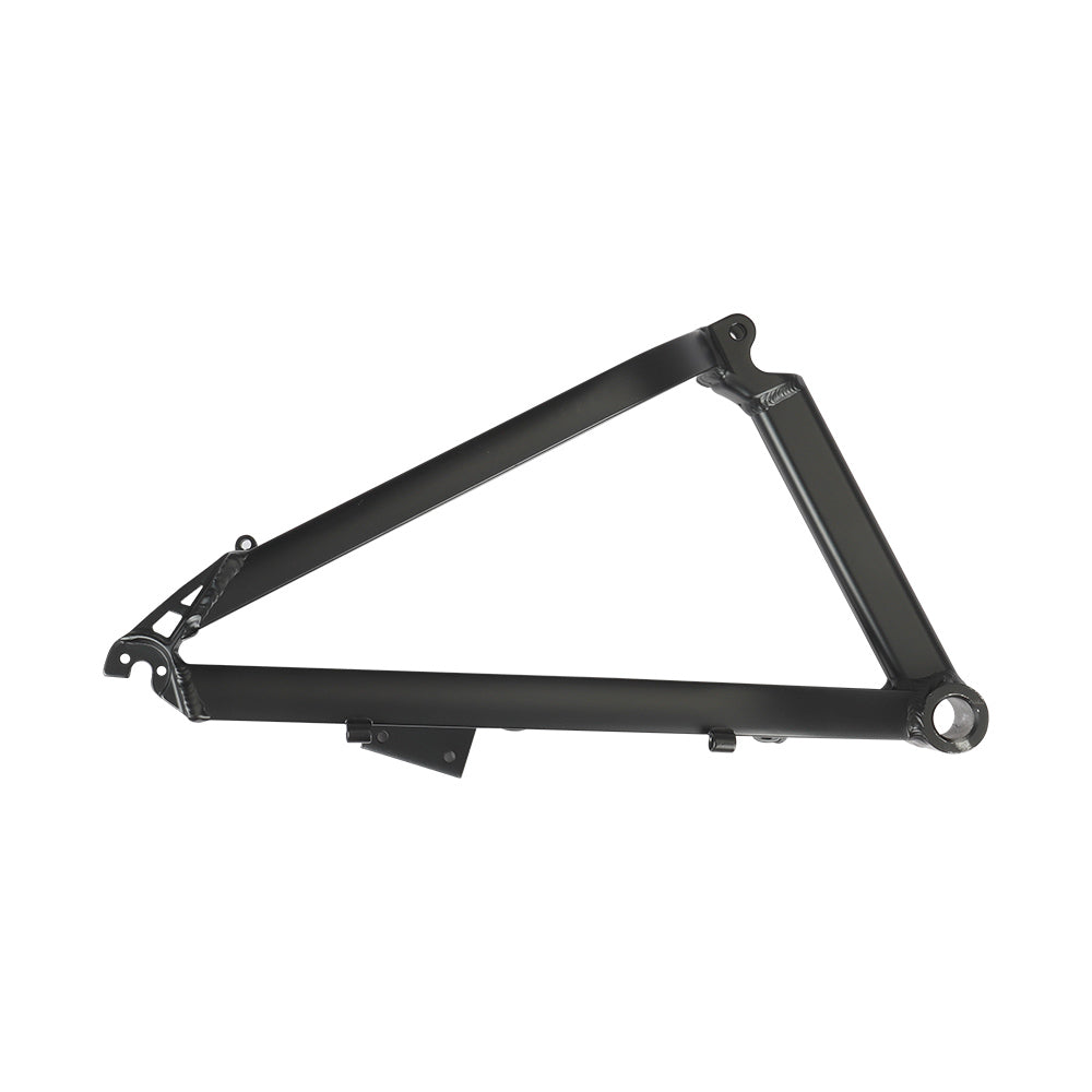 Electric Bike Rear Frame M1 Pro