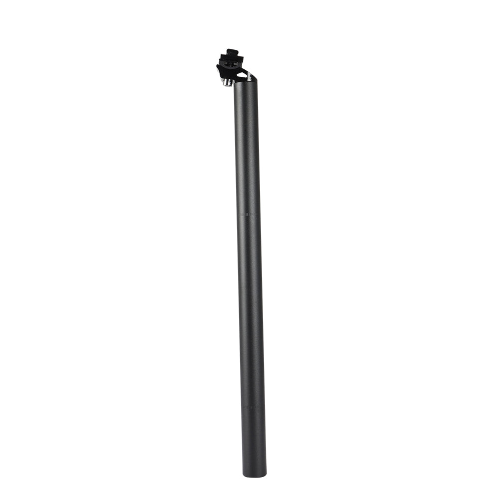 Electric Bike Seat Post D4S