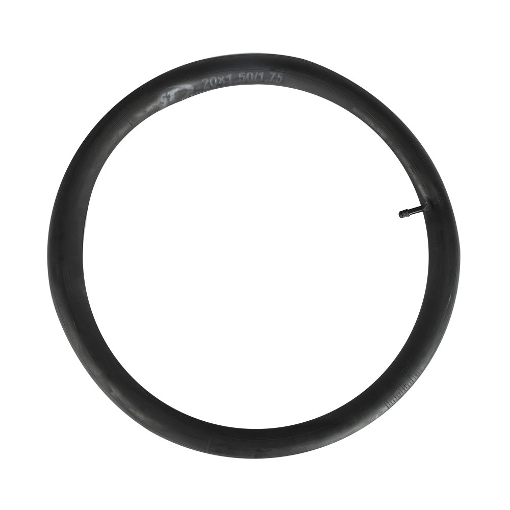 Electric Bike Tube D4S D11 D21