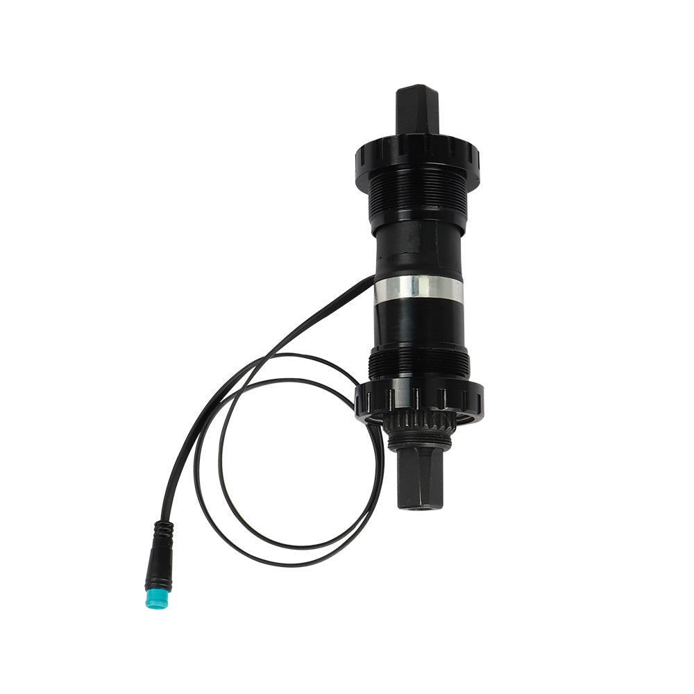 D21 Torque Sensor
